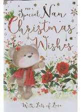 For A Special Nan Christmas Wishes
